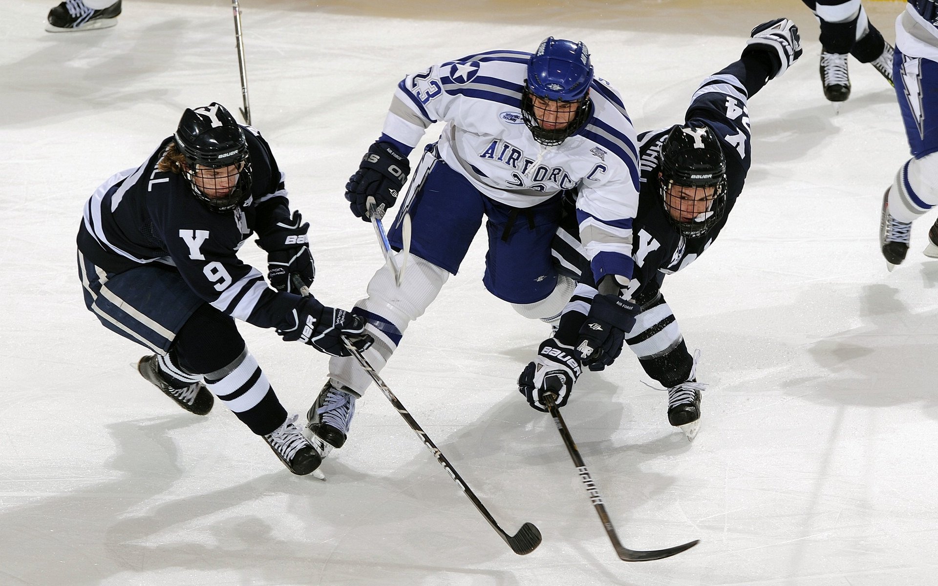 加拿大队教练压力巨大!,科维托娃遭遇七持续失利上演精彩一战